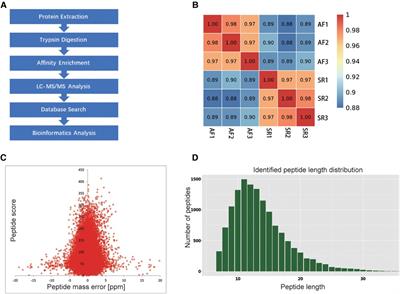 Changes of ubiquitylated proteins in atrial fibrillation associated with heart valve disease: proteomics in human left atrial appendage tissue